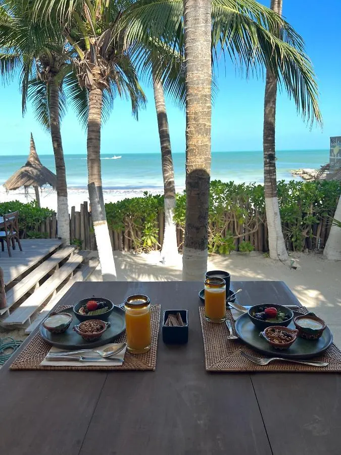 Casa Cat Ba Beachfront Boutique Hotel Isla Holbox 0*,