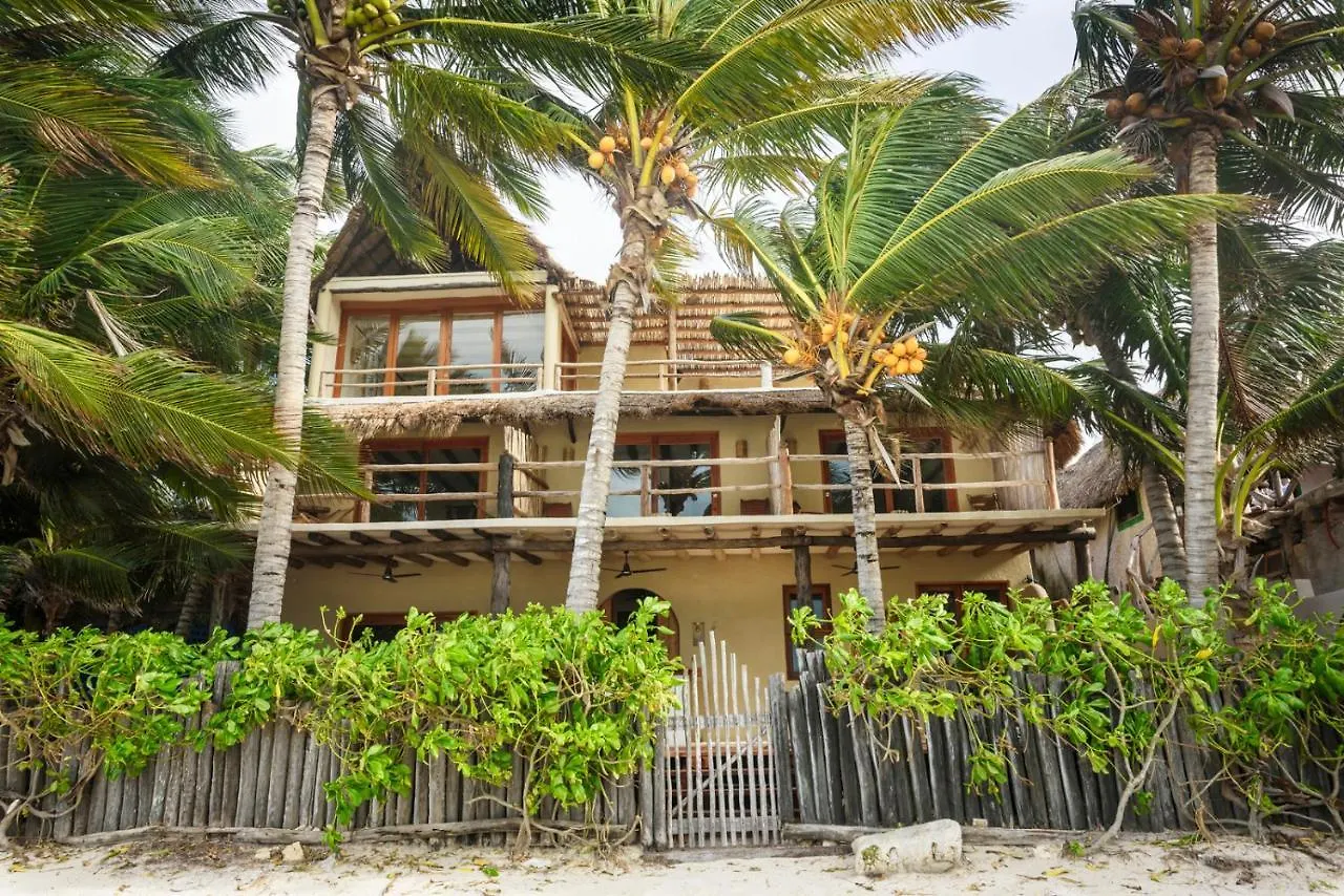 Casa Cat Ba Beachfront Boutique Hotel Isla Holbox