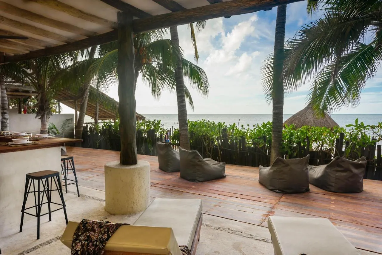 Casa Cat Ba Beachfront Boutique Hotel Isla Holbox Mexico