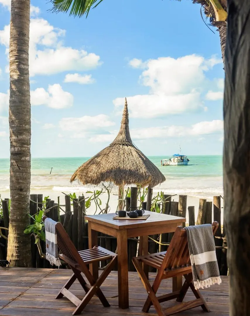 Casa Cat Ba Beachfront Boutique Hotel Isla Holbox Mexico