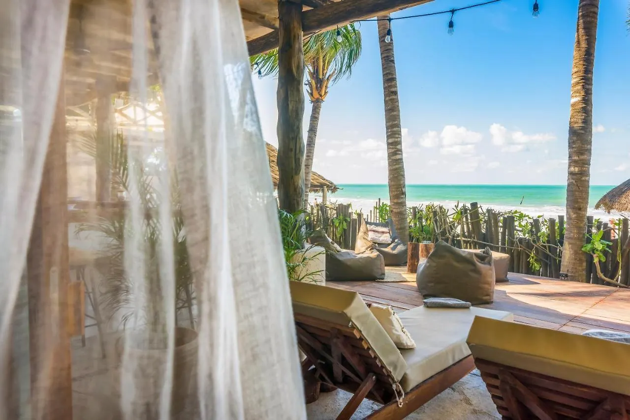 Casa Cat Ba Beachfront Boutique Hotel Isla Holbox